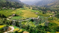 Travel program promotes Hoang Su Phi terraced fields